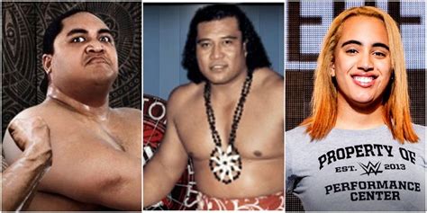 sika wrestler|samoan wrestling family tree.